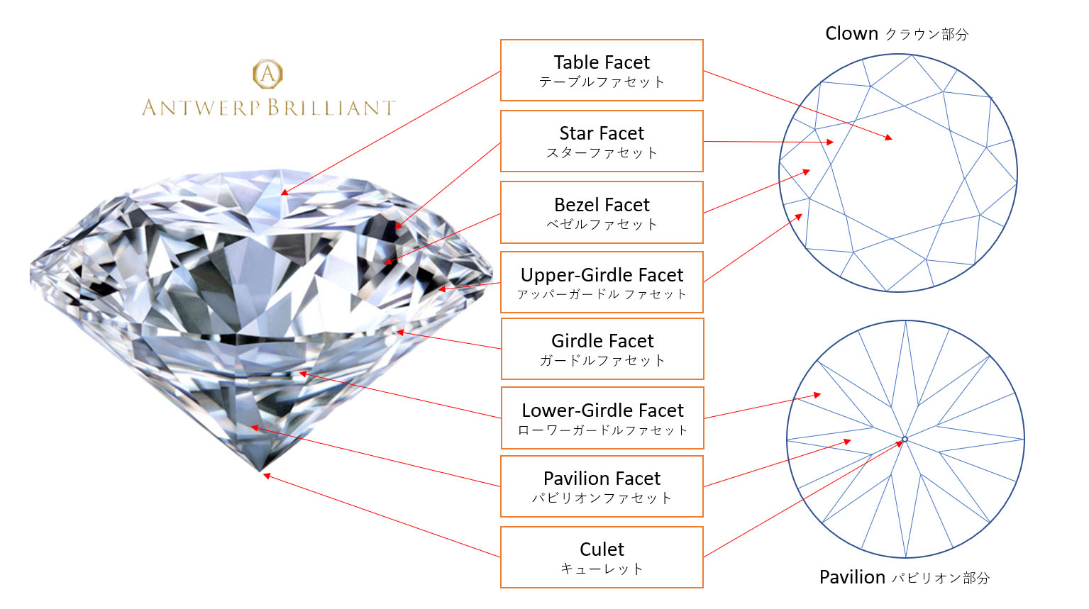 ダイヤモンド展開図ブリッジ銀座アントワープブリリアントギャラリー由緒正しいプロポーズにはダイヤ