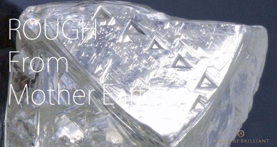 トライゴンが観察できるのは8面結晶ダイヤモンドだけ、特別な宝石でプロポーズ