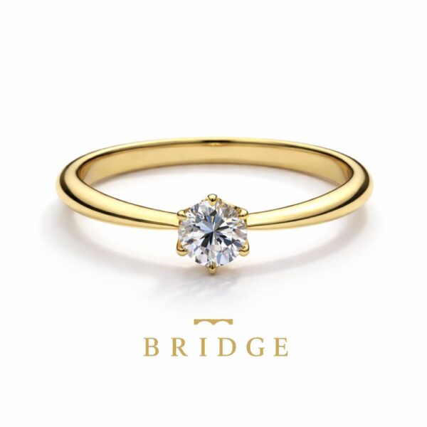 プロポーズリング（KB01YG）