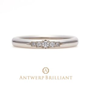 Evening Star Wedding Band Ring（５star）