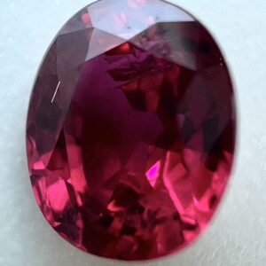 ルビーの中に蜂のような内包物がある