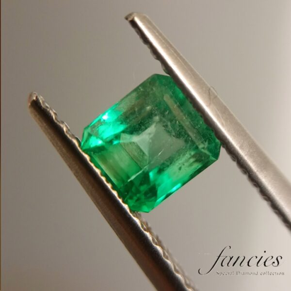 Emerald 0.79ct from Colombia